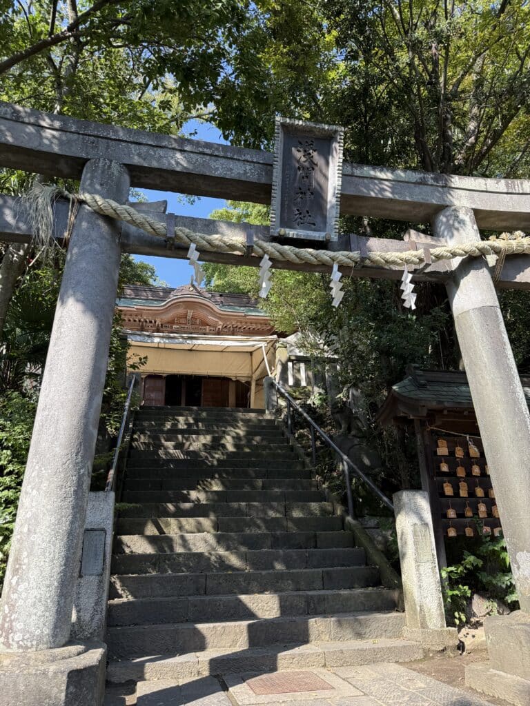 江戸川区で古本下見|戦争戦記や戦争体験記など非売品も査定