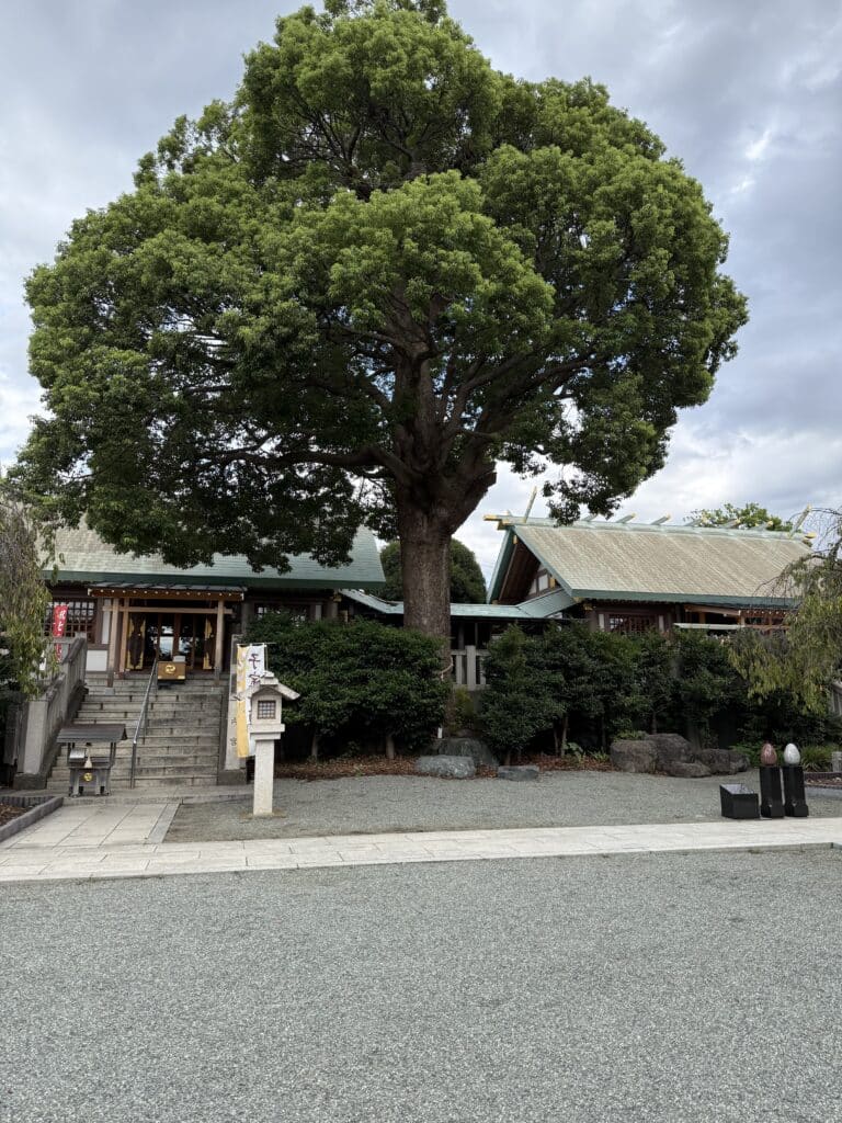 伊勢原市で古本下見見積り|仏教関係1000冊の出張実績