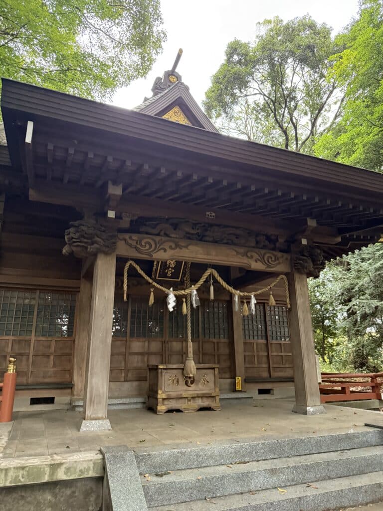 相模原市で古本下見｜専門書・学術書2000冊と磯部八幡宮参拝