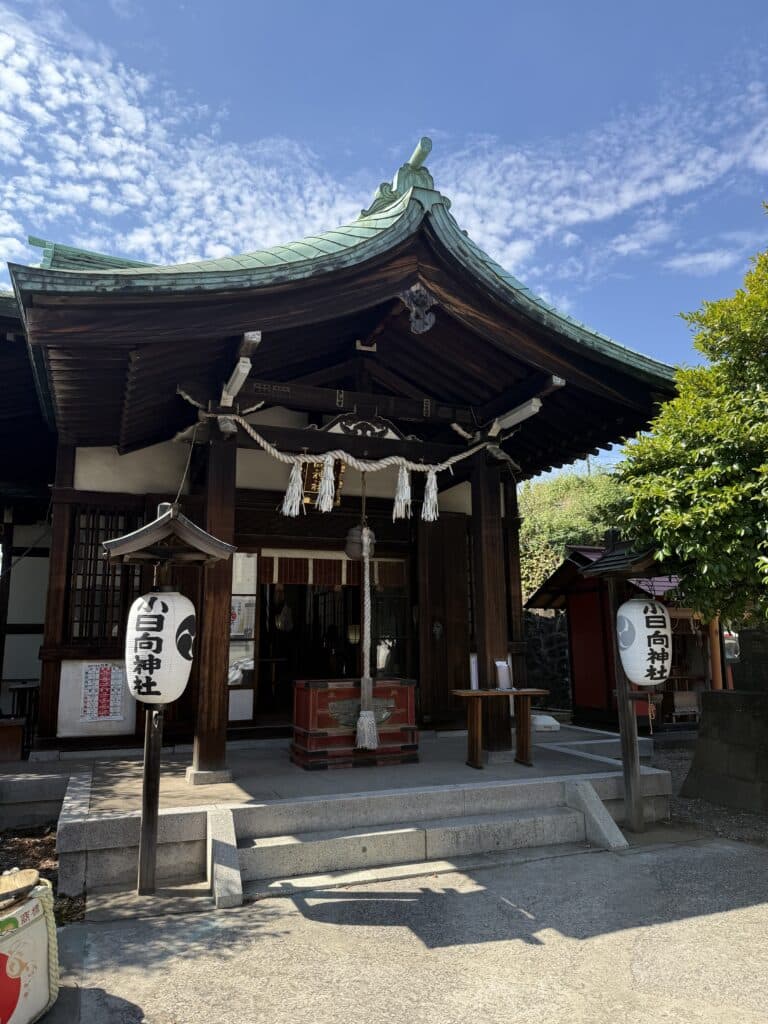 文京区で古本出張買取|自然科学関係2000冊・大学教授の生前整理