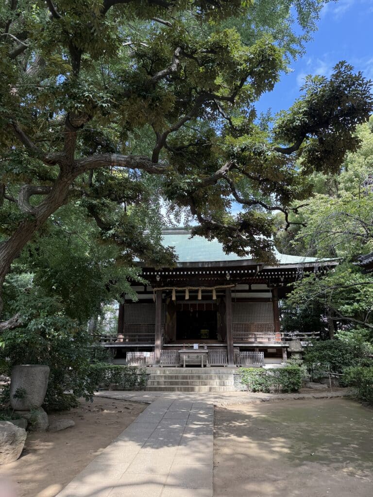 世田谷区で建築関係の古本を出張見積|専門書と学術書3000冊