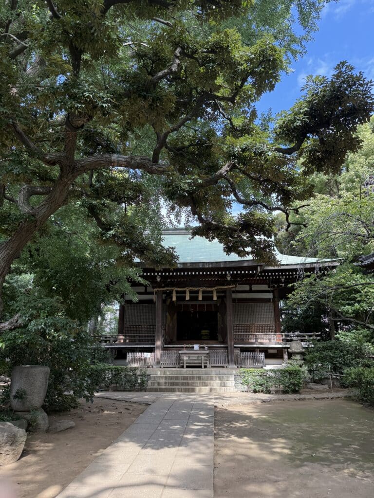 世田谷区で建築関係の古本を出張見積|専門書と学術書3000冊 1 ef87eb5c729a461c0523008b4e512bcd scaled