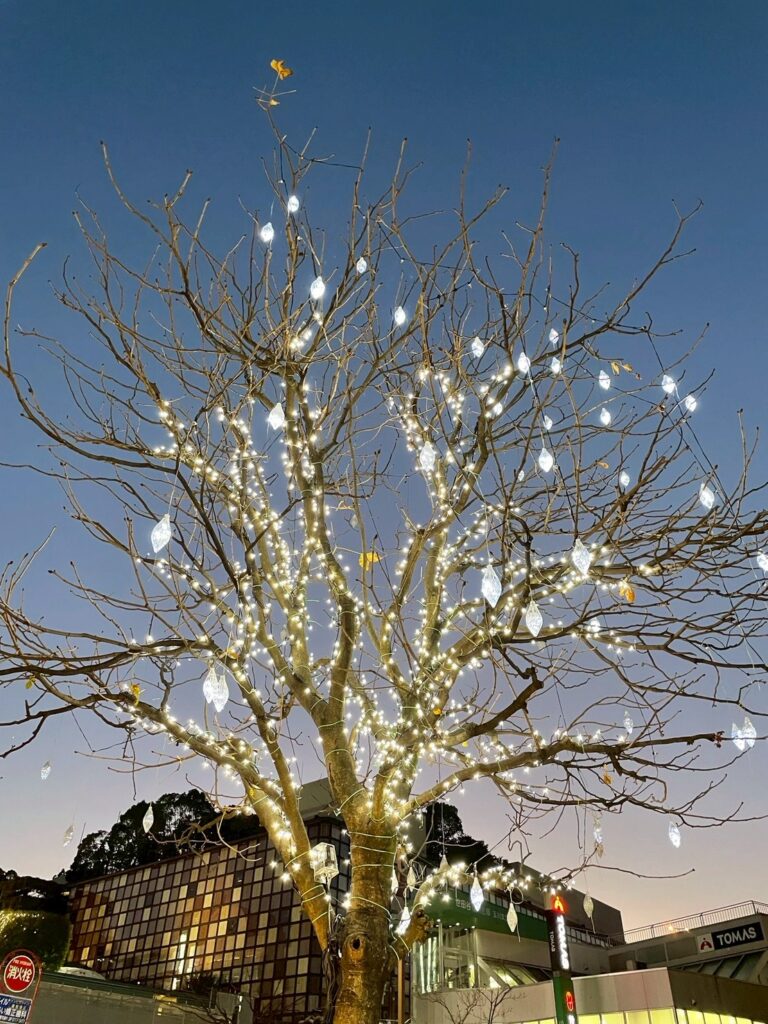 19cc449e702ae450cc714ce4778c3985 scaled