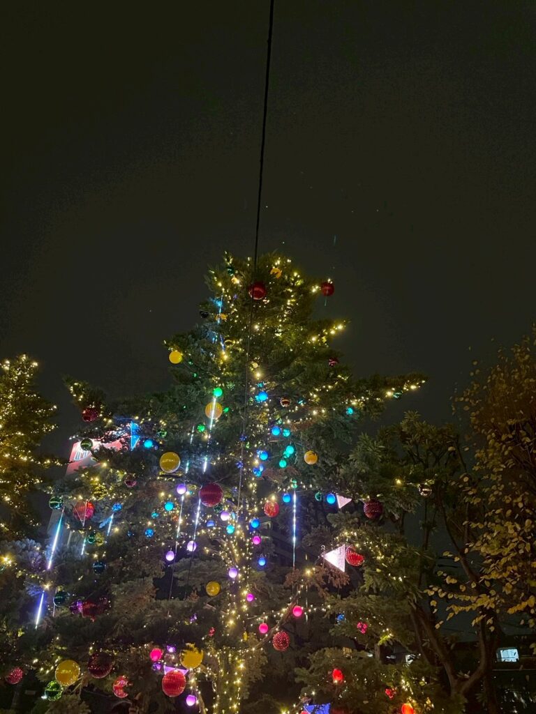 278377576d6cd4b30eb8be02856e53d8 scaled