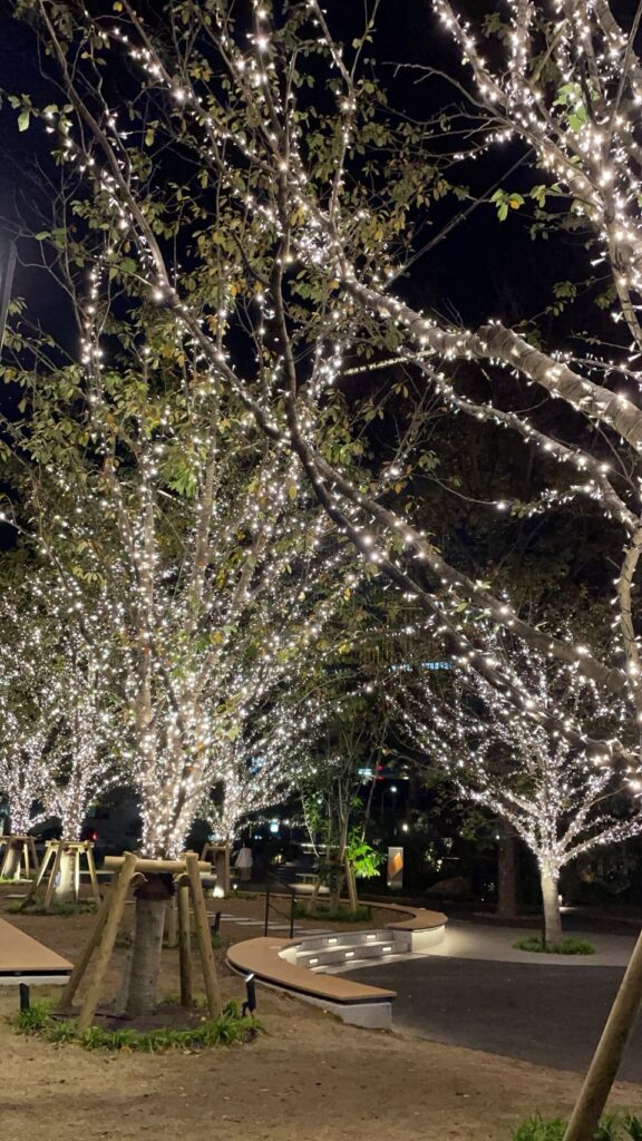 去年のイルミネーションをもう一度 本と光をつなぐ東京書房の冬特集 1 7d305c73c577d81fe1d2306c9581dbee scaled