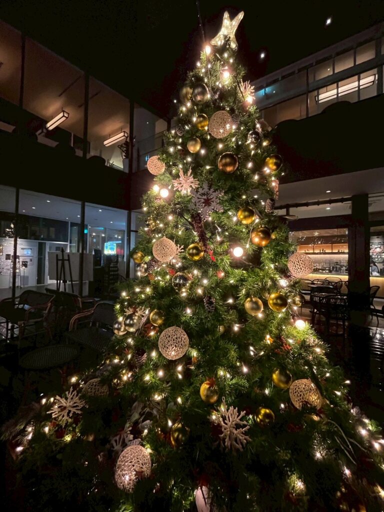 去年のイルミネーション写真を振り返る 本と灯りの東京書房スタッフ日記 1 ab2b8a23b86e39ba652403be43d09a5c scaled