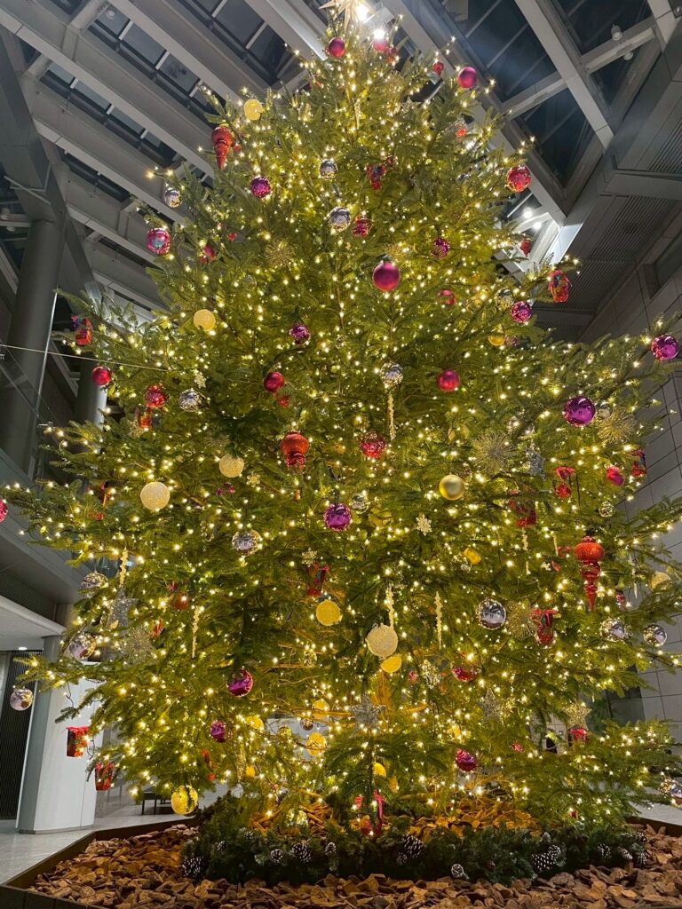 去年の新宿イルミネーションを見返す 本と灯りを想う東京書房スタッフの夜 1 bb1f32772cb07cb8f99537ead9e68ad0 scaled