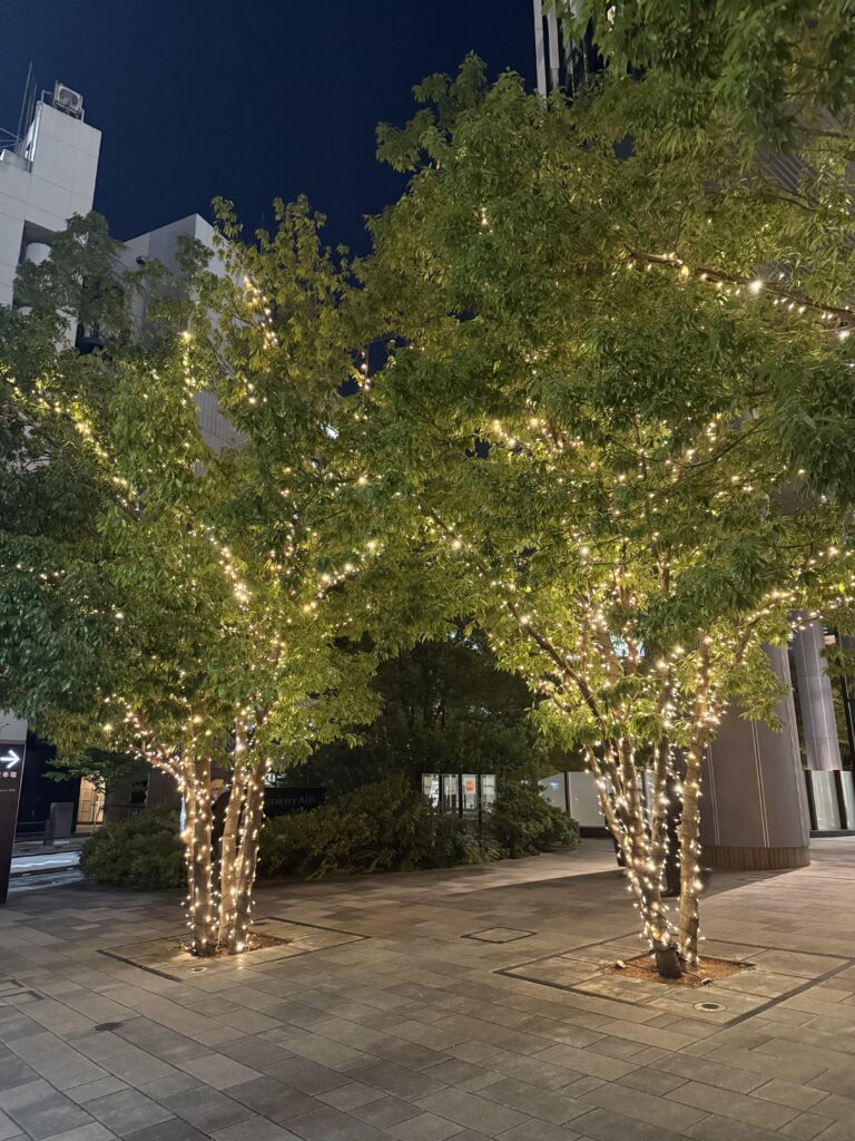 東京・練馬区や世田谷区で本買取実施！古書買取の出張事例報告