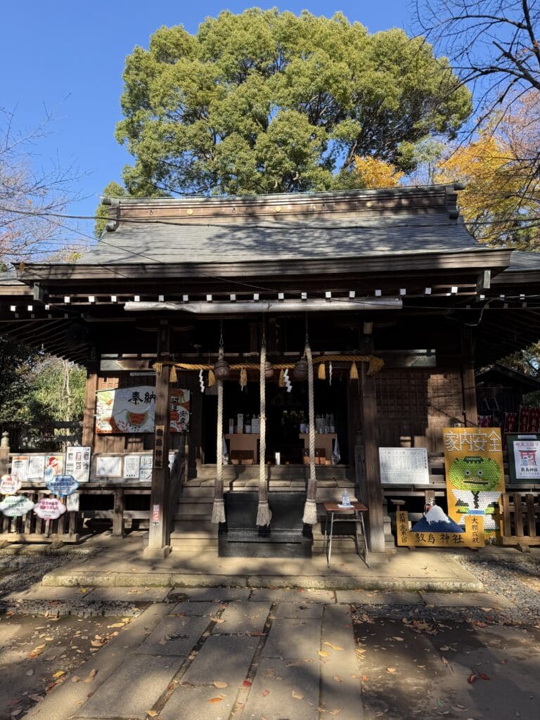 1e5c1371810e09992c2e98b626151b5d 3 scaled