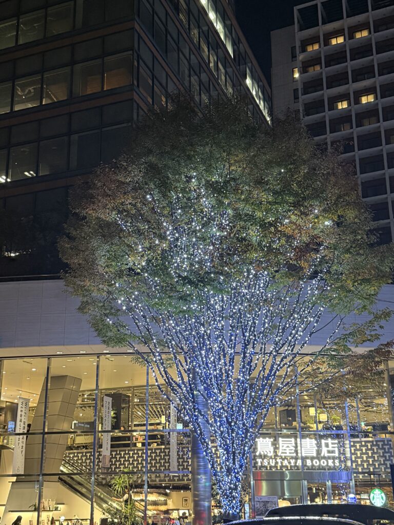 334614d45c92eea6363dc409c3942e1f scaled