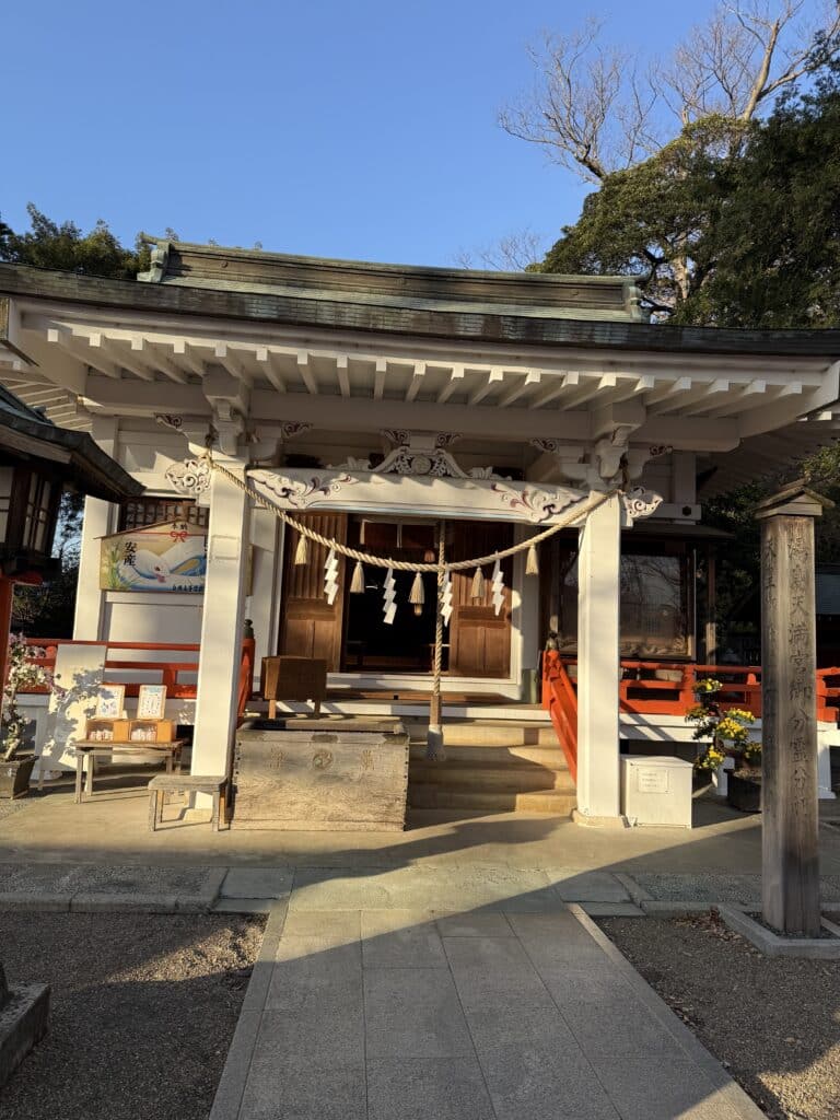 1e5c1371810e09992c2e98b626151b5d 10 scaled