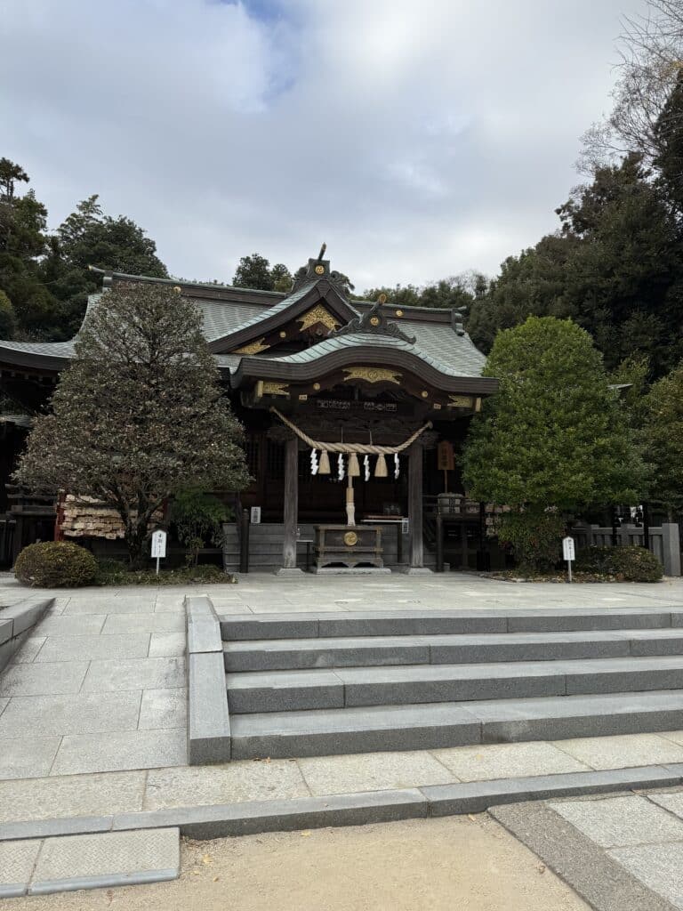 1e5c1371810e09992c2e98b626151b5d 8 scaled