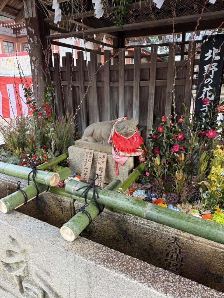 京都市で学術書・専門書の出張買取|3000冊以上の下見無料 4 1e5c1371810e09992c2e98b626151b5d 6 scaled